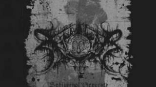 Xasthur  Arcane And Misanthropic Projection [upl. by Ahsimaj]