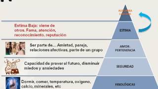 Satisfacción laboral y motivación [upl. by Atnaloj850]