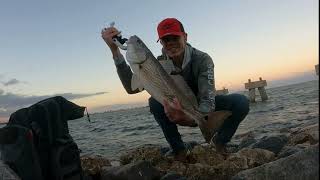 Fishing in Mayport Florida St Johns River Inlet [upl. by Chiang589]