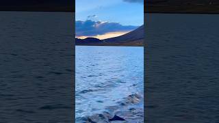 A LAKE on the ROOF of the WORLD sheosarlake deosai deosainationalpark roofoftheworld 🇵🇰 [upl. by Oleg]