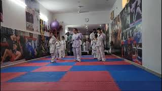 Mmatigers Martial Arts Karate classes near Delhi [upl. by Edualcnaej458]