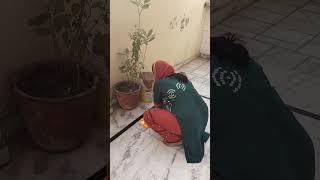 Tulsi mayi ki pooja 🚩💯🙏✅tulsi matarani viralvideo viralshorts trending [upl. by Nivlem]