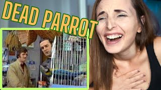 REACTING TO MONTY PYTHON  Dead Parrot Sketch [upl. by Lyda]