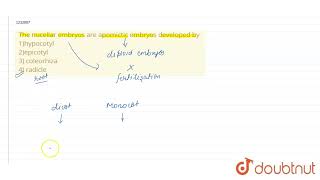 The nucellar embryos are apomictic embryos developed by 1hypocotyl\n\n 2epicotyl\n 3\n\ncoleo [upl. by Gautious]