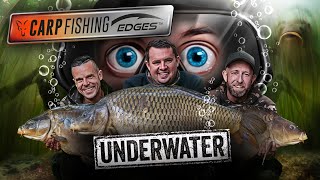 🎣 🤿 4 hours of mind blowing UNDERWATER action 🤯  Fox Carp Fishing Edges Underwater FULL FILM [upl. by Yanat]