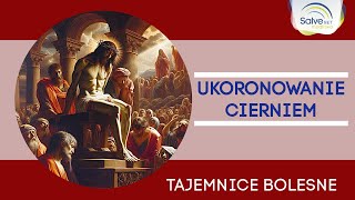 Różaniec Trzecia tajemnica bolesna  UKORONOWANIE CIERNIEM [upl. by Ycam903]