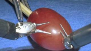 da Vinci Surgical System Surgery on a grape [upl. by Am]