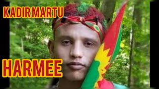 Kadir Martu  Harmee Oromo Music [upl. by Eitisahc29]