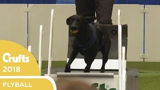 Flyball  Team QuarterFinals Part 1  Crufts 2018 [upl. by Wolfie]