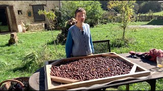 Andiamo alla ricerca di Castagne per linverno Portiamo con noi Capre e Cani Bosco pieno di Funghi [upl. by Elizabet]