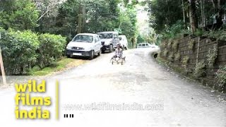 Mizo children ride bamboo Billycarts in Mizoram [upl. by Nisbet]