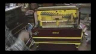 Faventia spanish street piano [upl. by Latreese]