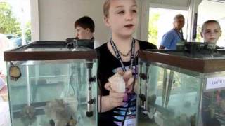 Sanibel Shell Fair Show Live Seashell Exhibitm4v [upl. by Doownelg835]