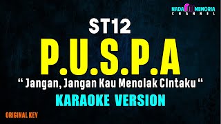 ST12  Puspa Karaoke Version [upl. by Whipple892]