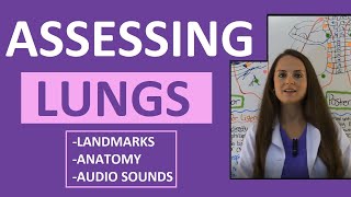 Lung Auscultation Landmarks Sounds Placement Nursing  Assessing Lungs Part 1 [upl. by Eiramoj]