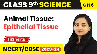 Animal Tissue Epithelial Tissue  Class 9 Biology Chapter 6  Tissues [upl. by Lashonde773]