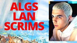 TSM IMPERIALHAL ALGS LAN SCRIMS FT REPS AND VERHULST [upl. by Namzzaj]