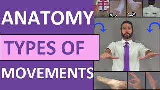 Body Movement Terms Anatomy  Body Planes of Motion  Synovial Joint Movement Terminology [upl. by Fauman157]