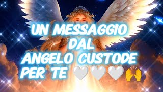 UN MESSAGGIO DAL ANGELO CUSTODE PER TE🤍🤍🤍🙌🙏😇 [upl. by Dremann]