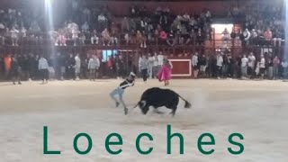 Encierro Loeches 2024 🏃🐂 3 Bravos Toros [upl. by Bilow]