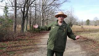 Cowpens 240th British Prelude with Ranger Roland [upl. by Screens]