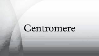 Centromere [upl. by Renat]