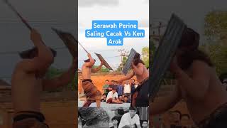 Sama2 Babak Belur Serawah Perine Vs Ken Arok Saling Cacak shorts pereseanterbaru2024 wonderfulind [upl. by Allisan]