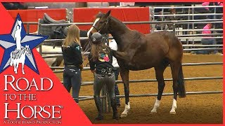 Road to the Horse 2017  Extra Footage  Vicki Wilson Clinic [upl. by Ecertal462]