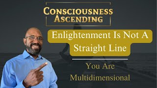 The Curriculum To Enlightenment [upl. by Akoyin]