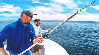 Tuna Fishing Can Be Intense [upl. by Ridinger]