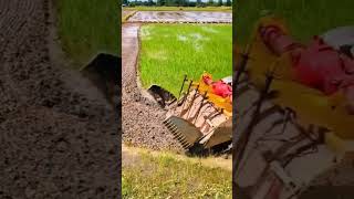 Traktor Sawah Modern Paling Perfect shorts [upl. by Fanchet32]