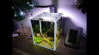 141 Lampka Aquael Leddy Smart 6W Plant czyli zmiana oświetlenia w krewetkarium 10l [upl. by Atterahs]