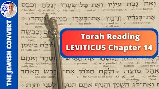 Leviticus Chapter 14  Torah Reading in Hebrew with English Translation  TORAH STUDY [upl. by Murat]