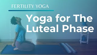 15Minute Fertility Yoga  Yoga Poses for the Luteal Phase of Your Cycle [upl. by Iat]