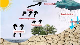 THE HYDROLOGICAL CYCLE AND WHY IT IS IMPORTANT [upl. by Alyose227]