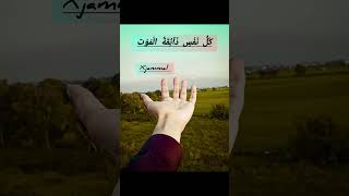 words 💯 islamicvideo shortvideo ❤️ [upl. by Alarick998]