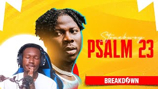 Stonebwoy’s Psalm 23 is Spirituaaaaalll Breakdown🔥🔥🔥 [upl. by Jauch]