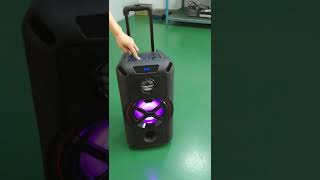 EY803T Bluetooth Trolley speaker [upl. by Wallas36]