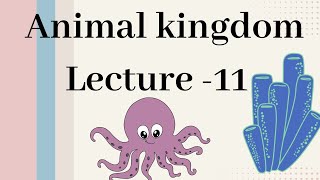 Mollusca  Animal kingdom Lecture  11 [upl. by Anaujik208]