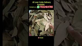 Bay Leaf Biryani Leaf B Grade Available Tej Patta Wholesale Market India [upl. by Adnola]