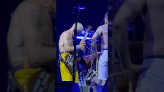 Flea  Tapping Bass Solo rhcp redhotchilipeppers live shorts [upl. by Akimit]