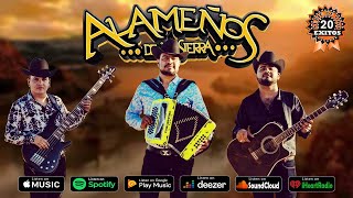 Los Alameños De La Sierra Mix Puro Amor  Popurri Cumbias Mix  100 Cumbias Norteñas [upl. by Waal67]