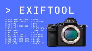 Using ExifTool to Extract Metadata from Video Files [upl. by Halladba216]