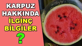 Karpuz Neden Güneşte Soğur [upl. by Lucia849]