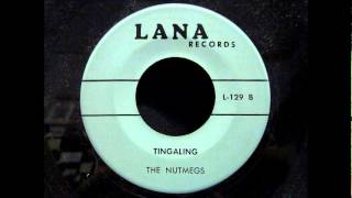 The Nutmegs  Tingaling  1964 Lana 129wmv [upl. by Amsirp]