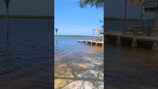 Chokoloskee Island Florida florida explore everglades water roadtrip [upl. by Anek]