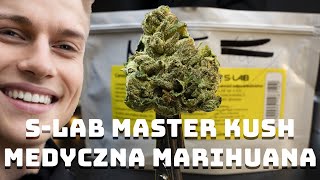 SLAB MASTER KUSH  TEST MEDYCZNEJ MARIHUANY [upl. by Eniamirt]