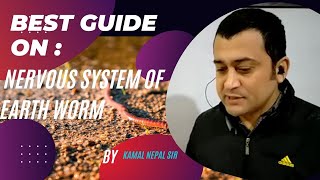 Exploring Annelida Earthworms Nervous System with Kamal Nepal [upl. by Nauqan617]