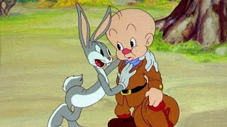 Bugs Bunny The Wacky Wabbit  Classic Cartoons  RealJoyToons [upl. by Atekin]