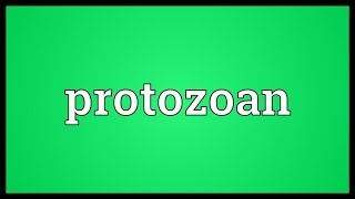 Protozoan Meaning [upl. by Anahcar]